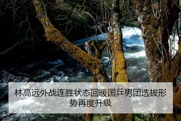 林高远外战连胜状态回暖国乒男团选拔形势再度升级 | kaiyun